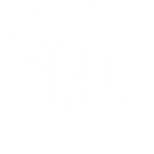 Website Logo in weiss